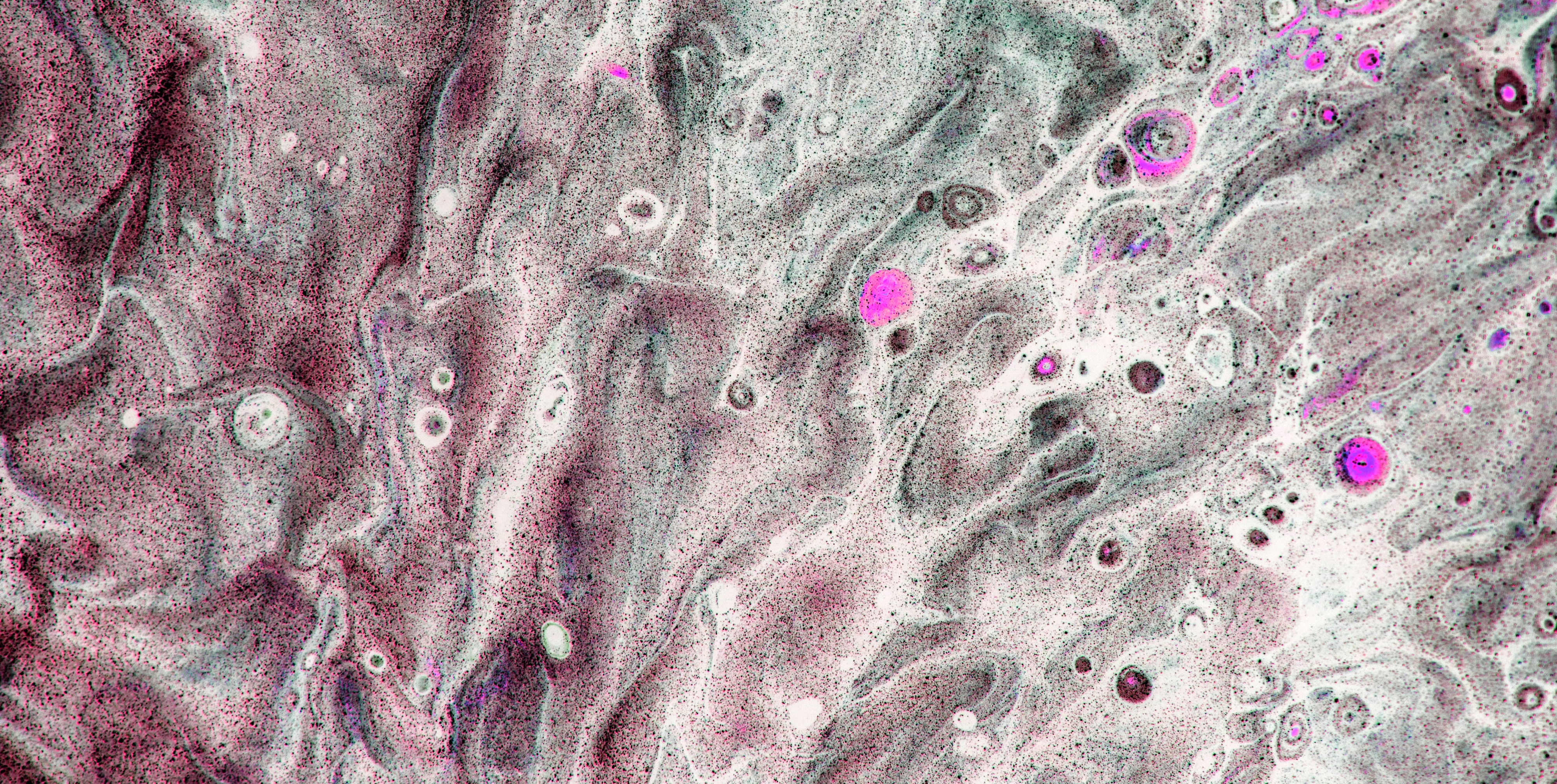 Texture organique symbolisant le tissu d'experts formateurs